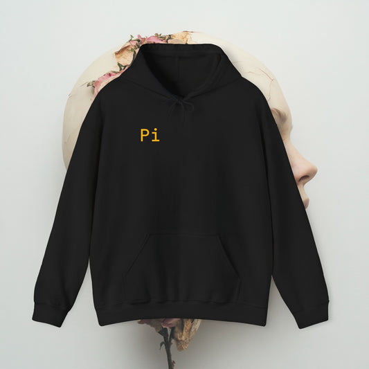 Pi Network Fan Crypto Enthusiast Hooded Sweatshirt, Unisex Hoodie for Cryptocurrency Lovers, Heavy Blend Pullover Jumper, Gift for friend