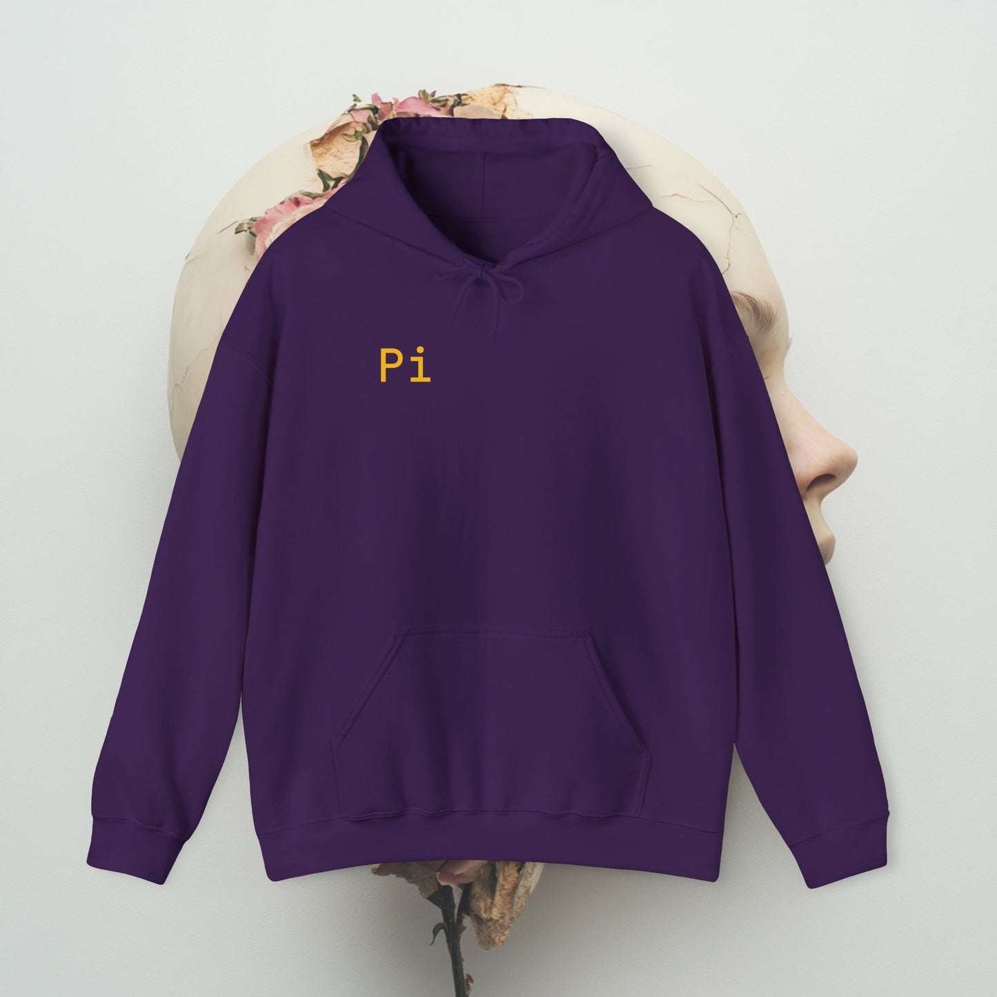 Pi Network Fan Crypto Enthusiast Hooded Sweatshirt, Unisex Hoodie for Cryptocurrency Lovers, Heavy Blend Pullover Jumper, Gift for friend